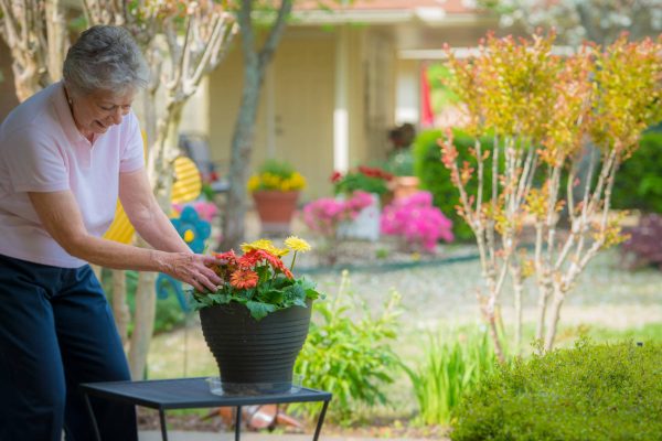 Independent living at Parkway Village