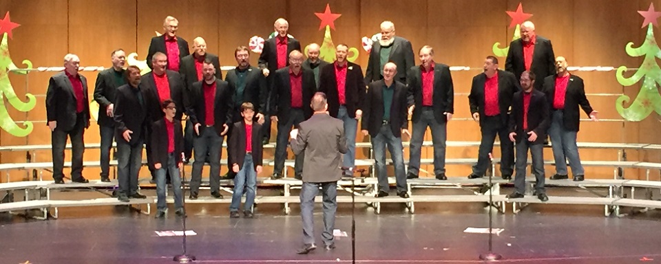 Acapella Rising 384 x 960